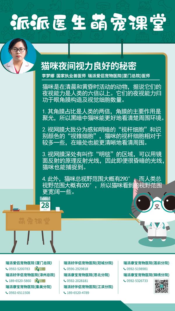 201228猫咪夜间视力良好的秘密.jpg